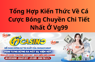 Tổng Hợp Kiến Thức Về Cá Cược Bóng Chuyền Chi Tiết Nhất Ở Vg99